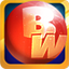 Bingo World